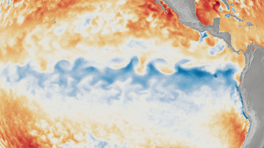 An animation of the change in sea surface temperature departures from average in the tropical Pacific Ocean, from January 1 to June 8, 2026.