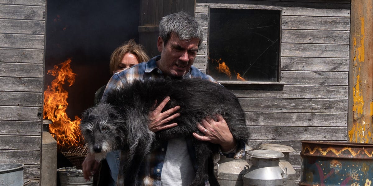 Emmerdale spoiler: The Dingles receive devastating news