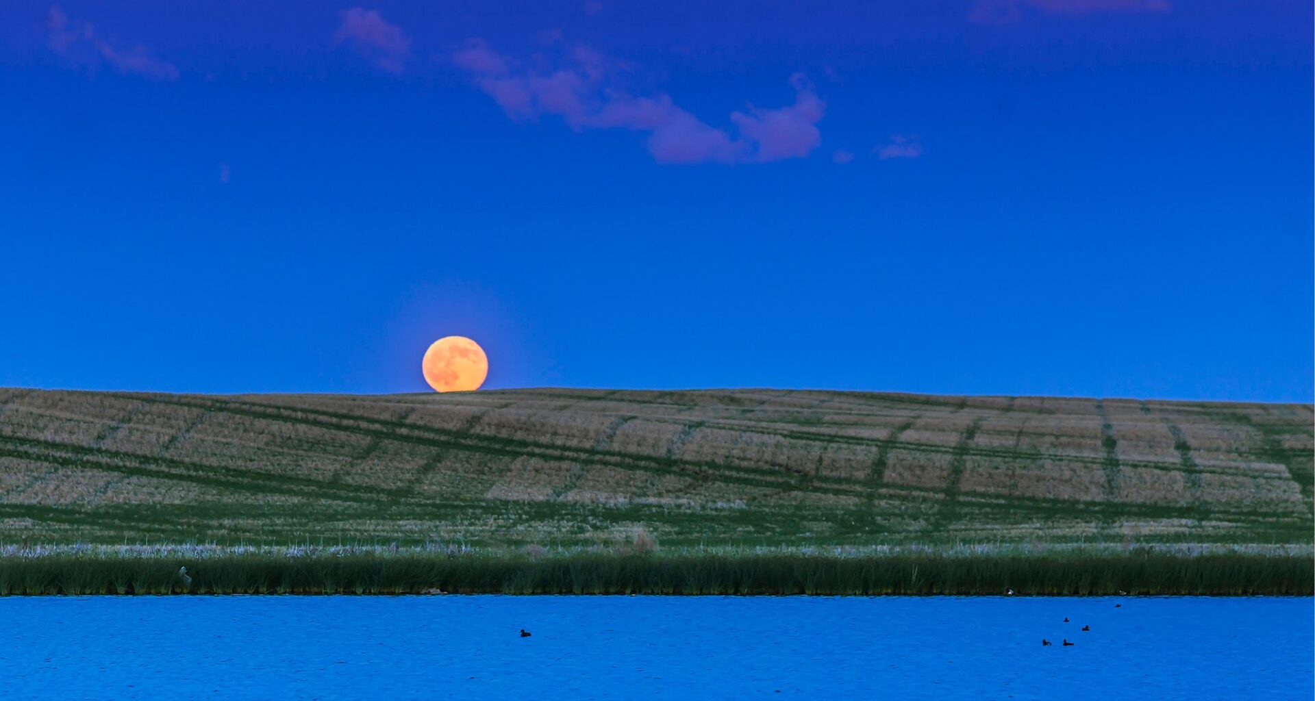 Strawberry moon 2026: Tonight's full moon is the lowest, and one of the smallest 'micromoons' all year