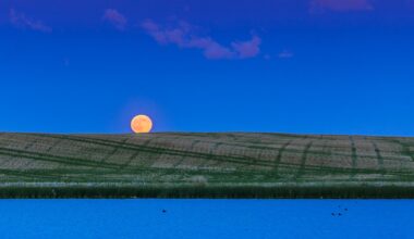 Strawberry moon 2026: Tonight's full moon is the lowest, and one of the smallest 'micromoons' all year