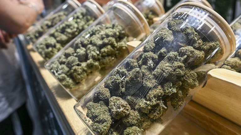 Cannabis traders would also be eligible for the death penalty.