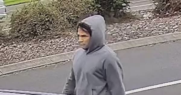 Man sought over Christchurch assaults probe