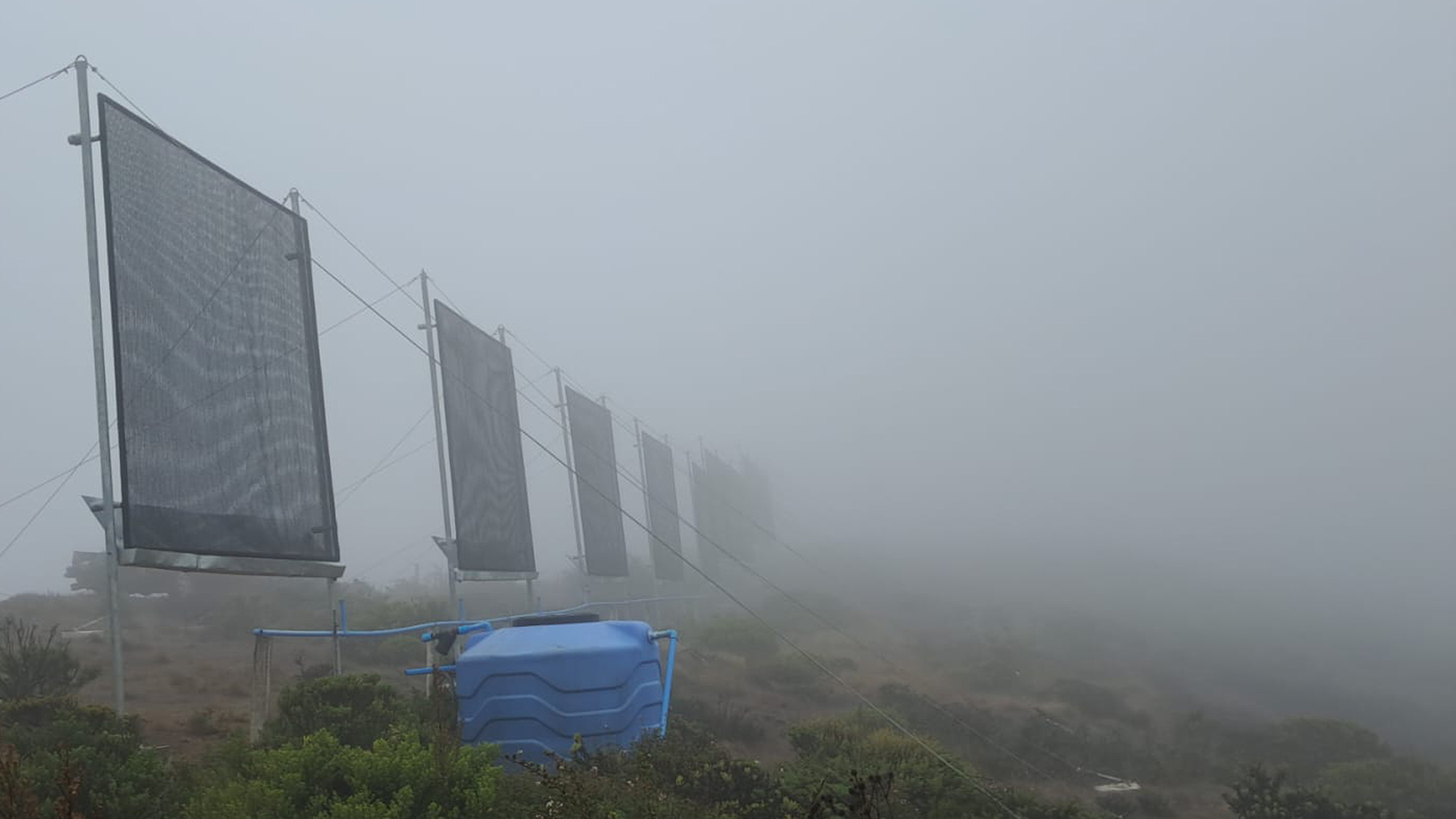 Capturing fog to make water