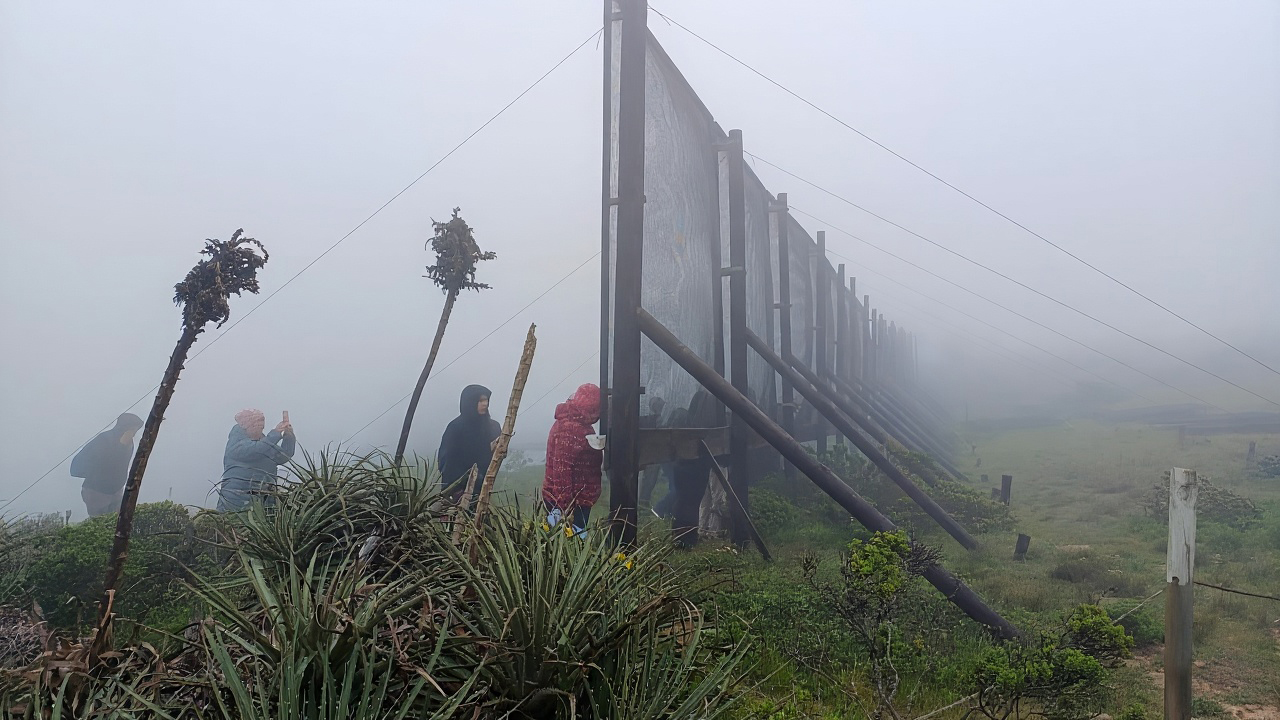 Capturing fog to make water