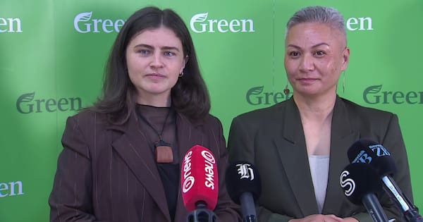 Greens propose wealth, inheritance taxes to fund income tax changes