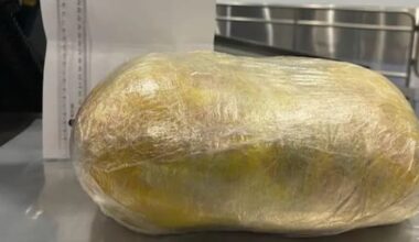 Cocaine smuggler's underpants 'anomaly' leads to Australian jail