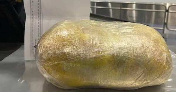 Cocaine smuggler's underpants 'anomaly' leads to Australian jail