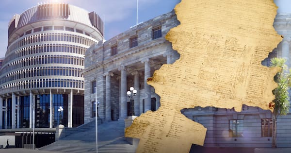 Treaty clauses: Tribunal hears of 'unrelenting assault' on Māori rights