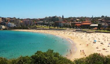 Woman critically injured after shark attack at Sydney beach