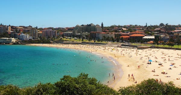 Woman critically injured after shark attack at Sydney beach