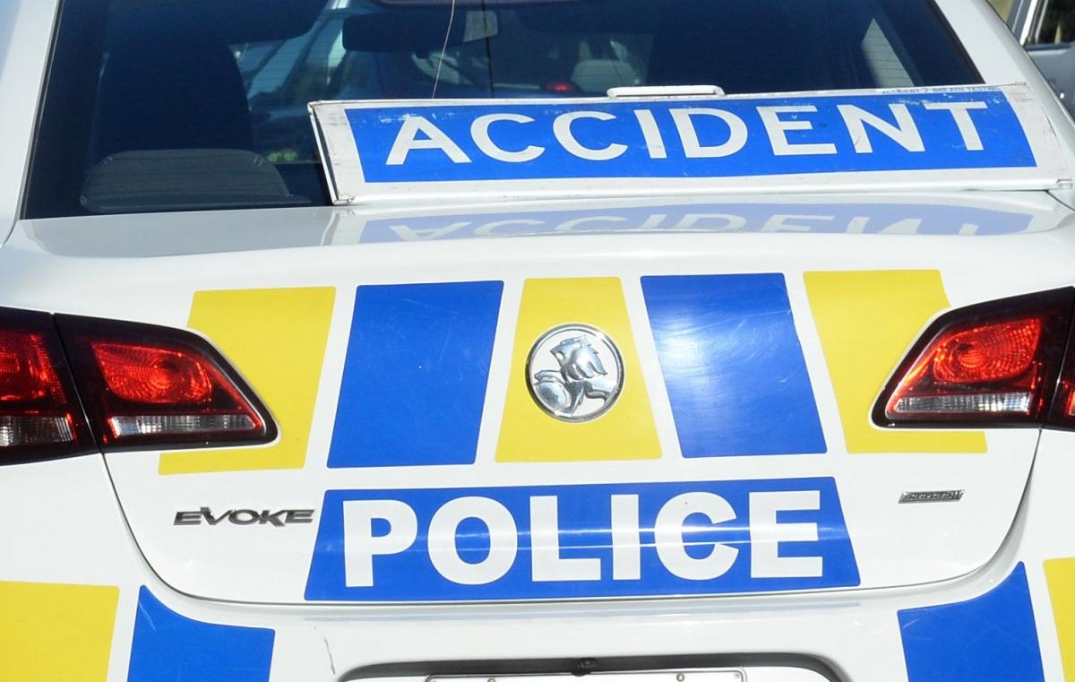 Driver dies in Westland crash