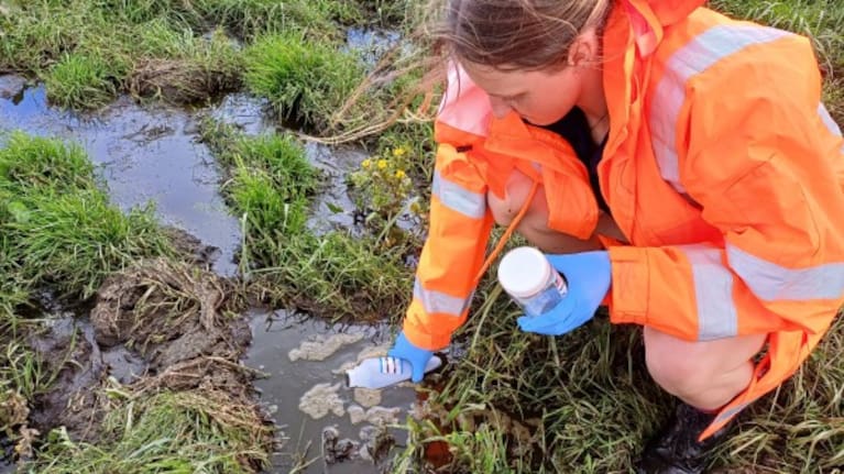 Council officer sampling ponded effluent.