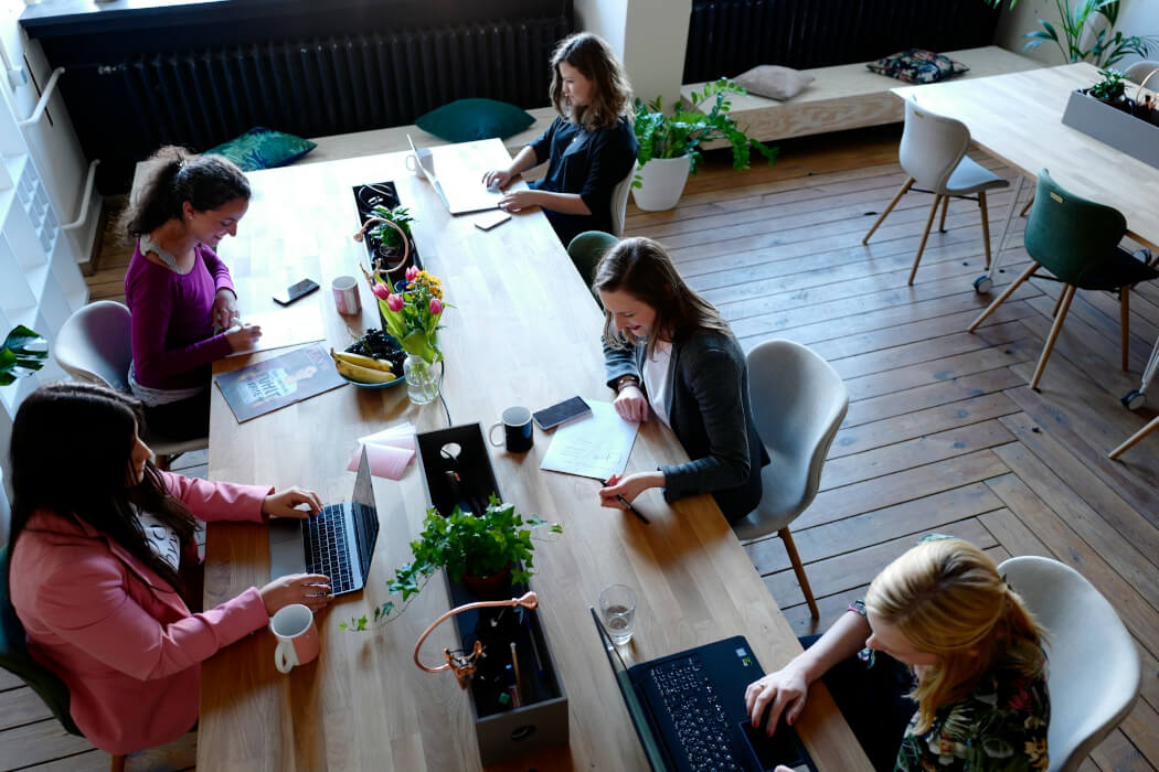 A group of women sit at a long table working on laptops