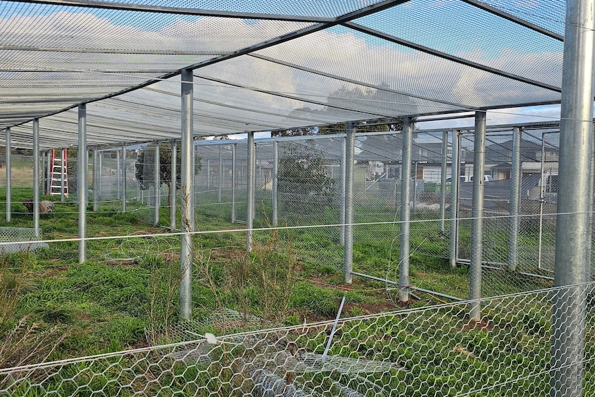 a chicken wire roof and fencing is sectioned by rows of metal poles, marking 14 different enclosures to be completed.