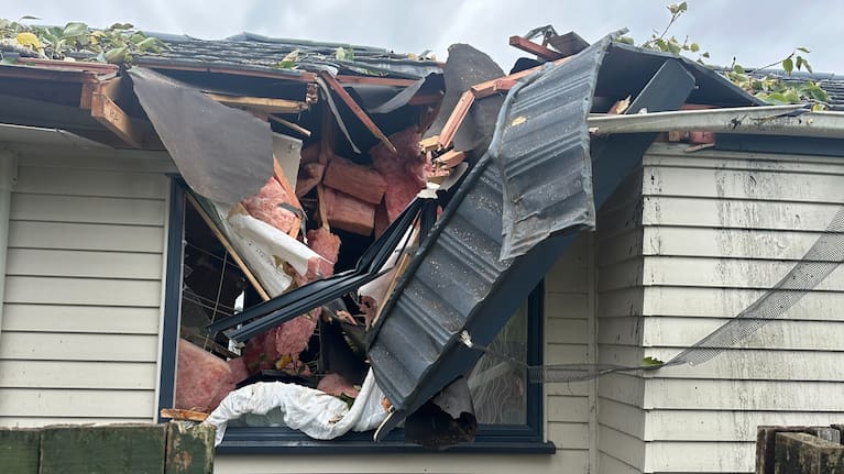 Damage after a tree fell on a home in Rānui last night.