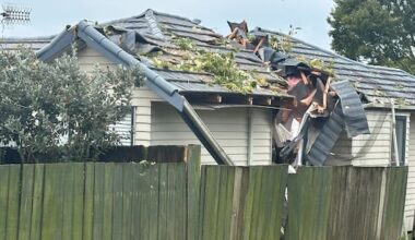 Tree hits west Auckland home with residents inside