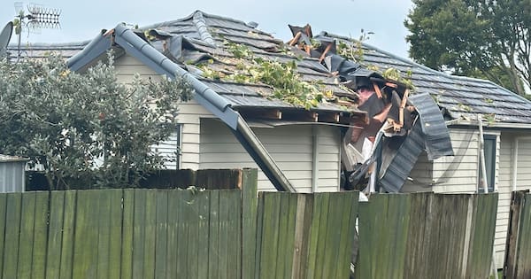 Tree hits west Auckland home with residents inside