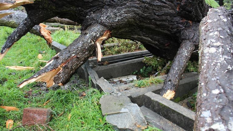 Damage at Karori Cemetery after strong winds downed trees.