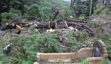 Historic graves smashed by wild weather in Wellington