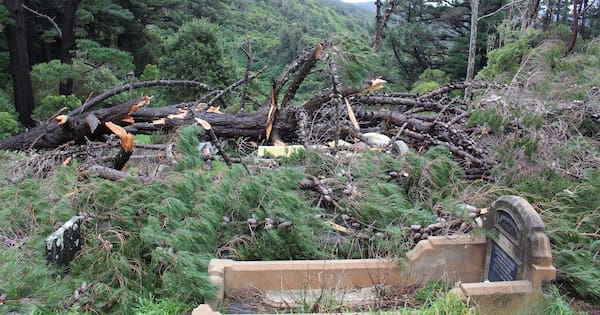 Historic graves smashed by wild weather in Wellington