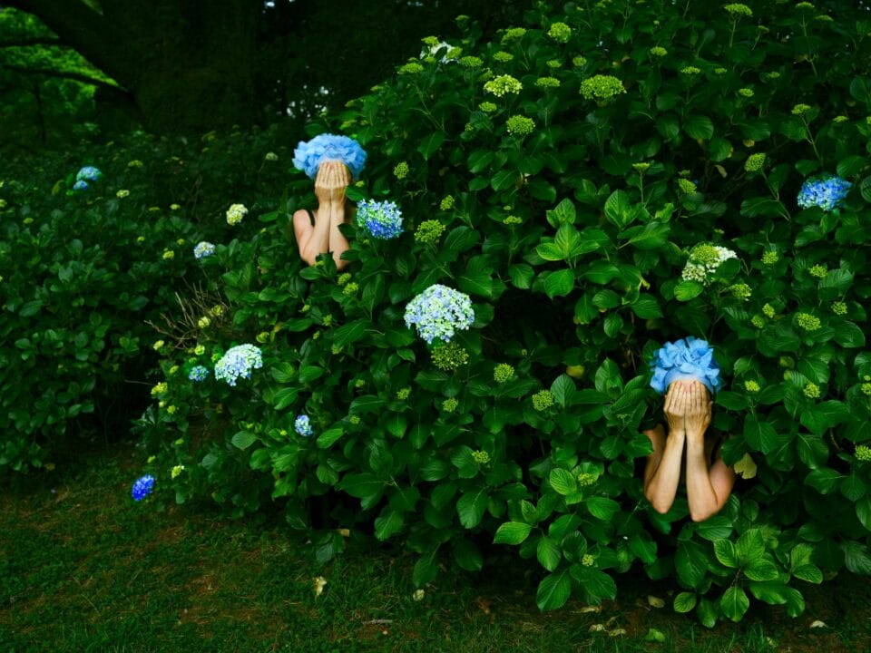 a photograph by Tamara Dean of two individuals in a dense brush of plants, wearing frilly blue hats imitating the flowers around them. their hands cover their faces