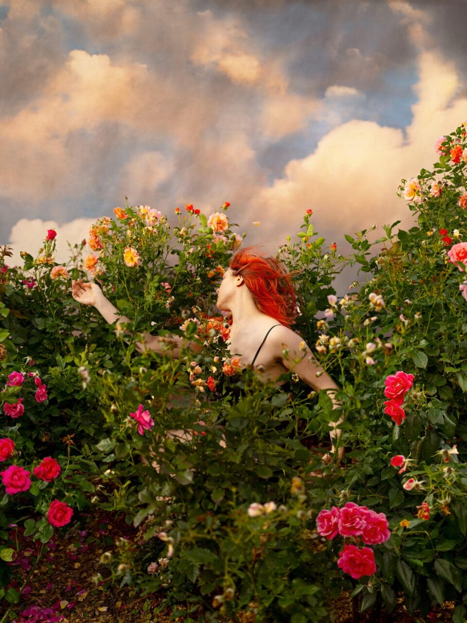 a photograph by Tamara Dean of a woman with bright red hair posing in a dense area of shrubbery and pink flowers
