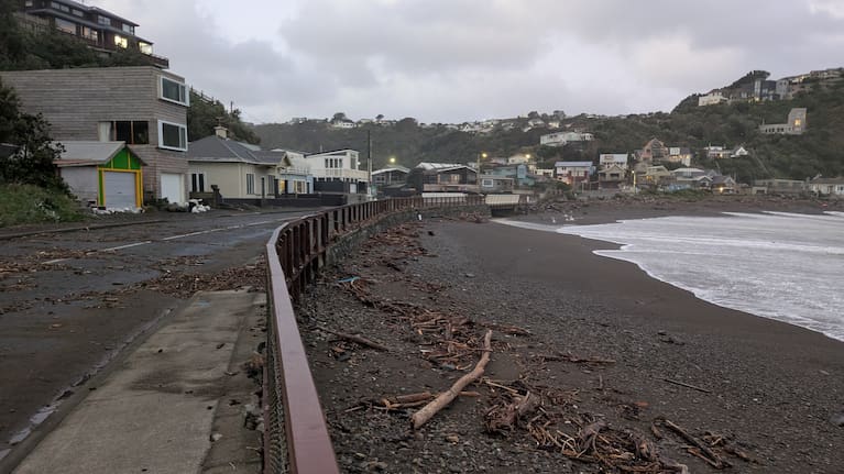 Debris strewn on the shoreline and road at Owhiro Bay.