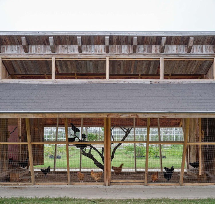 Designing for Chickens: Rethinking How Humans and Animals Share Space - Image 12 of 50