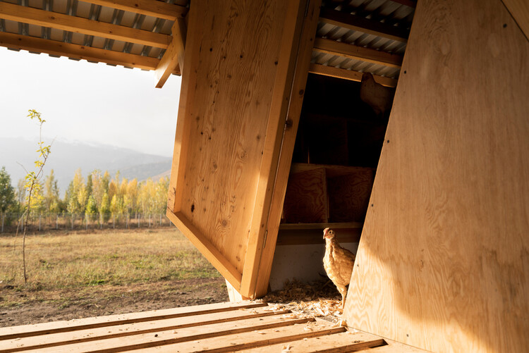 Designing for Chickens: Rethinking How Humans and Animals Share Space - Image 38 of 50