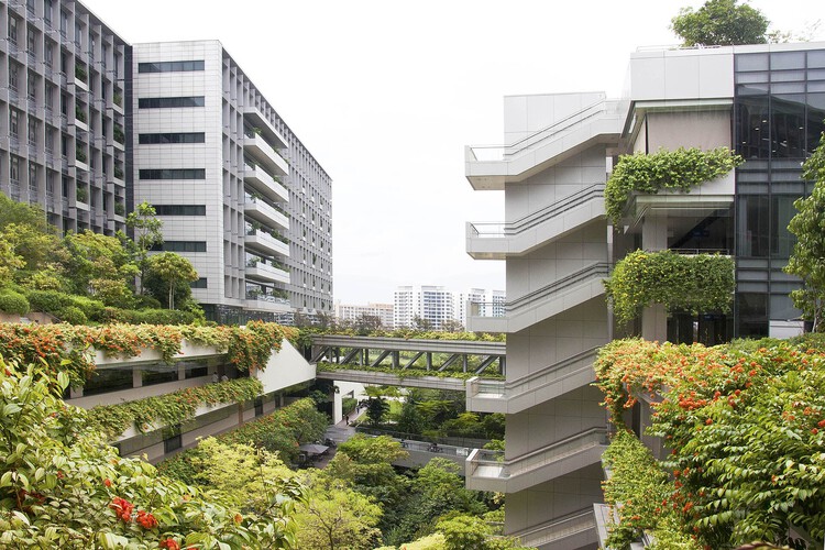 Designing for Stray Cities: Architecture Beyond the Human - Image 14 of 15
