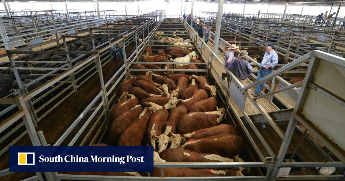 Australian beef will soon be hit by 55% tariff in China, ministry says