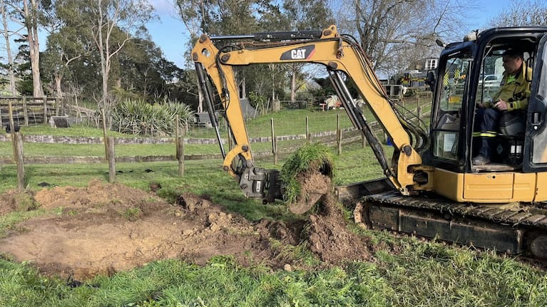 The digger was able to create an "escape ramp" for Lola.