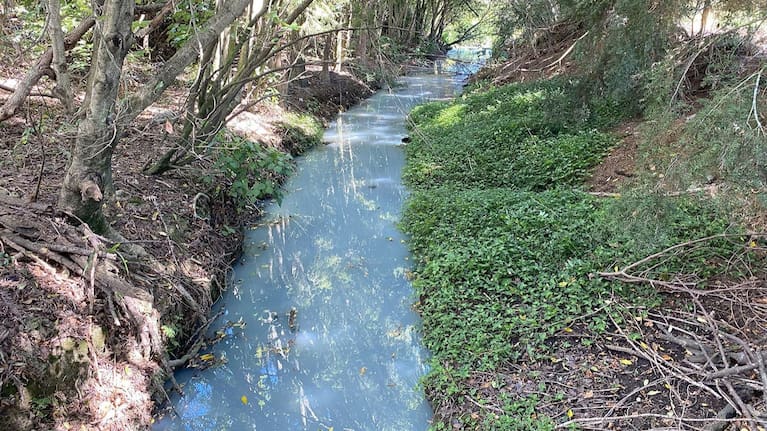 Discolouration of the Duke Street drain, which carries water discharged from the mussel factory about 1 kilometre through the township of Ōpōtiki and discharged into the Waioweka River.