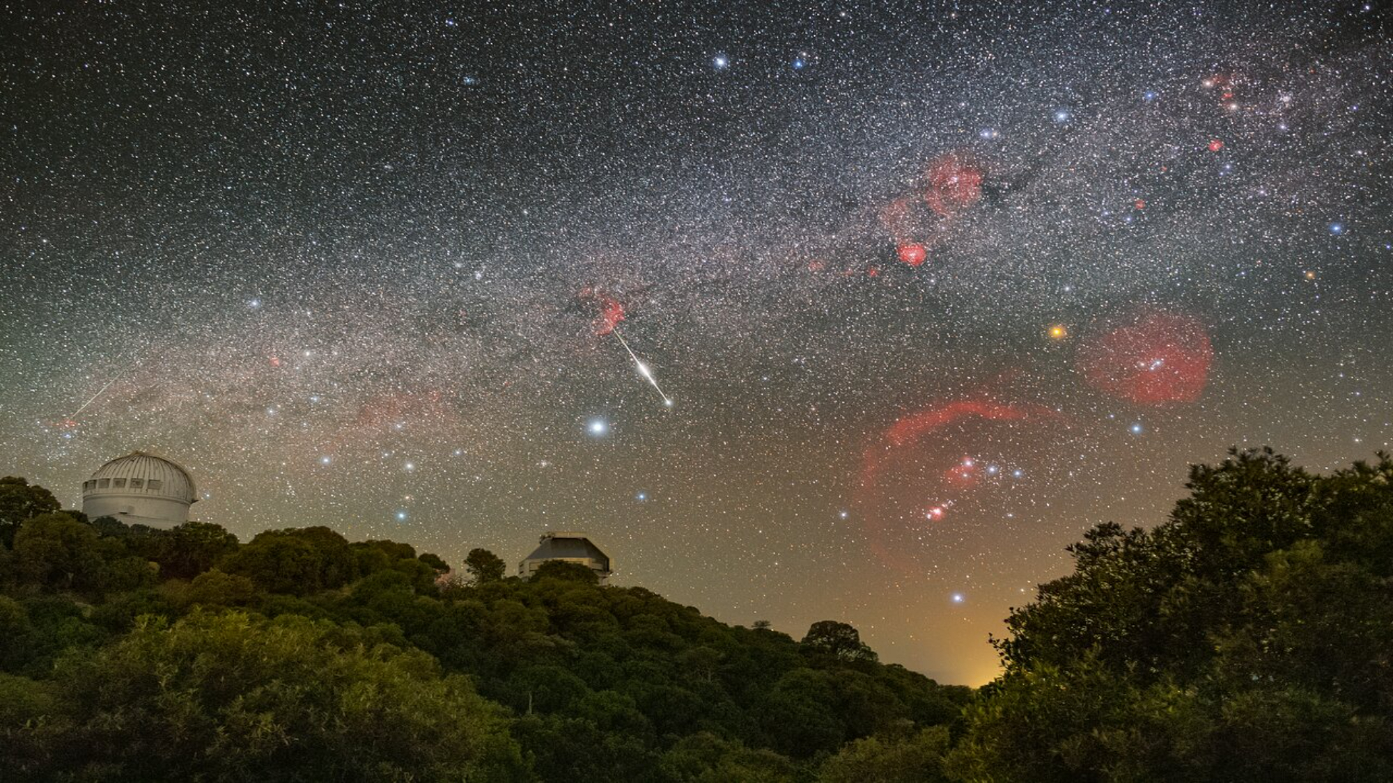 The night sky over a forest shows a bright galaxy and stars with one streaking meteor through the middle.