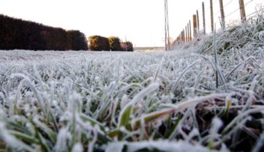MetService warns of frosty weekend as temperatures plunge across New Zealand