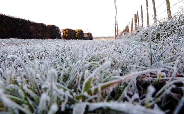 MetService warns of frosty weekend as temperatures plunge across New Zealand