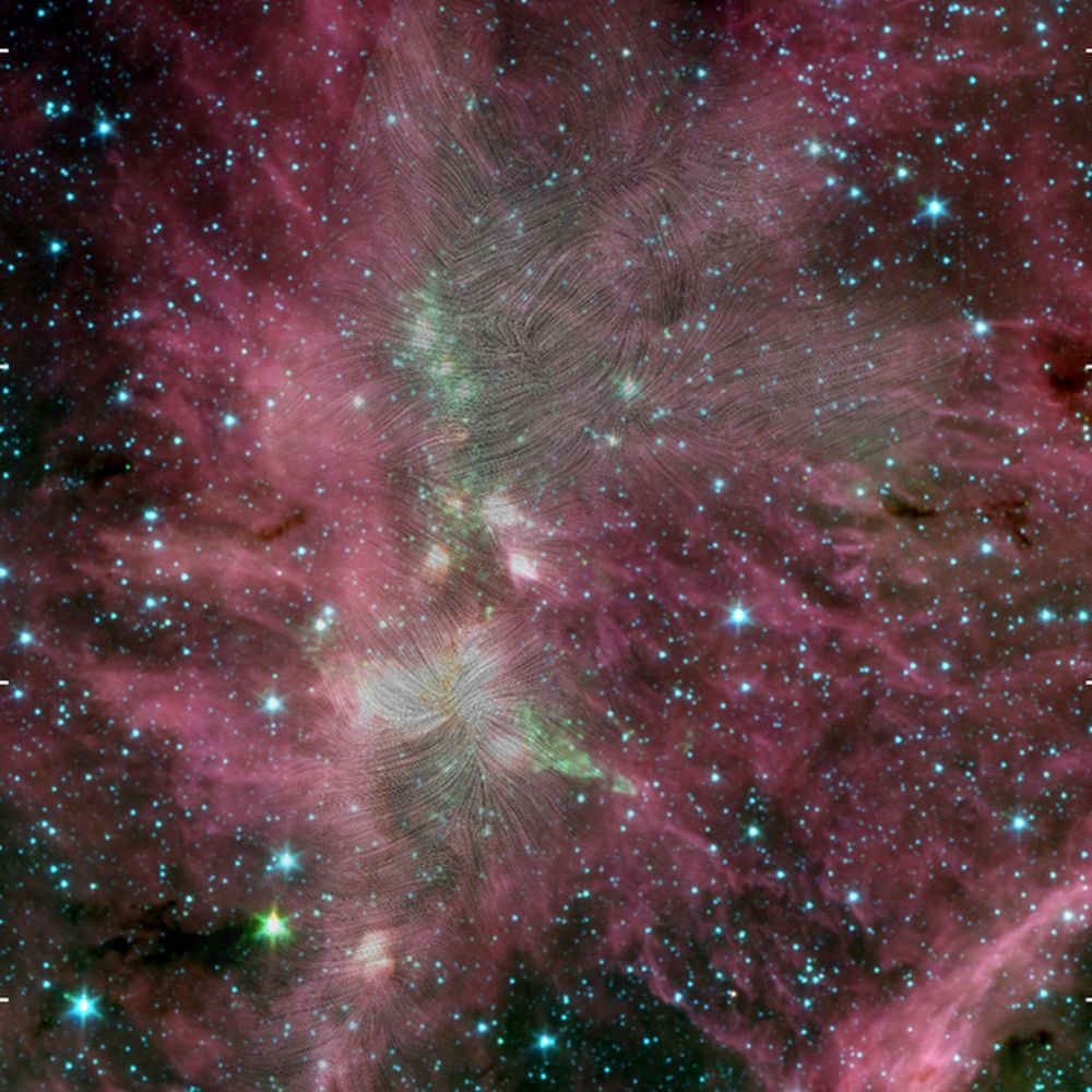 This Spitzer Space Telescope image shows the DR21 star-forming region, a large molecular hydrogen cloud about 6,000 light years away. DR21 forms stars rapidly, and new research shows how magnetic fields funnel gas into the region. The magnetic field lines in this image are from the now-ended SOFIA mission. Image Credit: T. Pillai/SOFIA/NASA and J. Kauffmann/JPL-Caltech/NASA