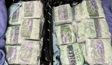Customs finds 19.7 kg of meth in packages disguised as green tea