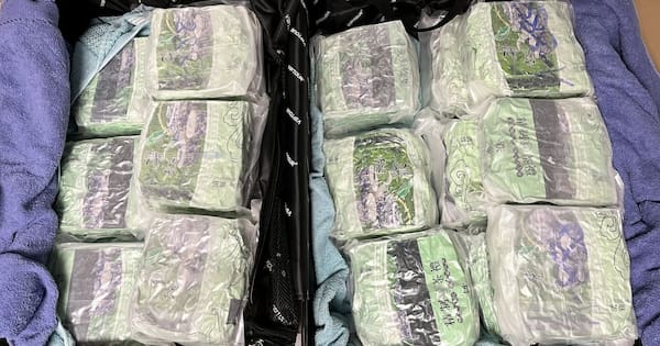 Customs finds 19.7 kg of meth in packages disguised as green tea
