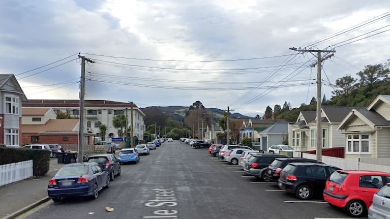 Dunedin: home to thousands of students, chilly winters and many an uninsulated flat. 