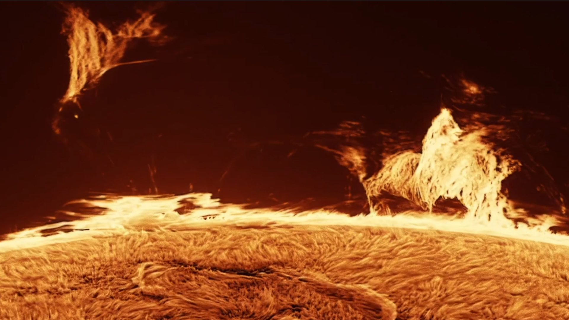 close up view of the sun shows 'clouds' of fiery looking plasma suspended above the sun.