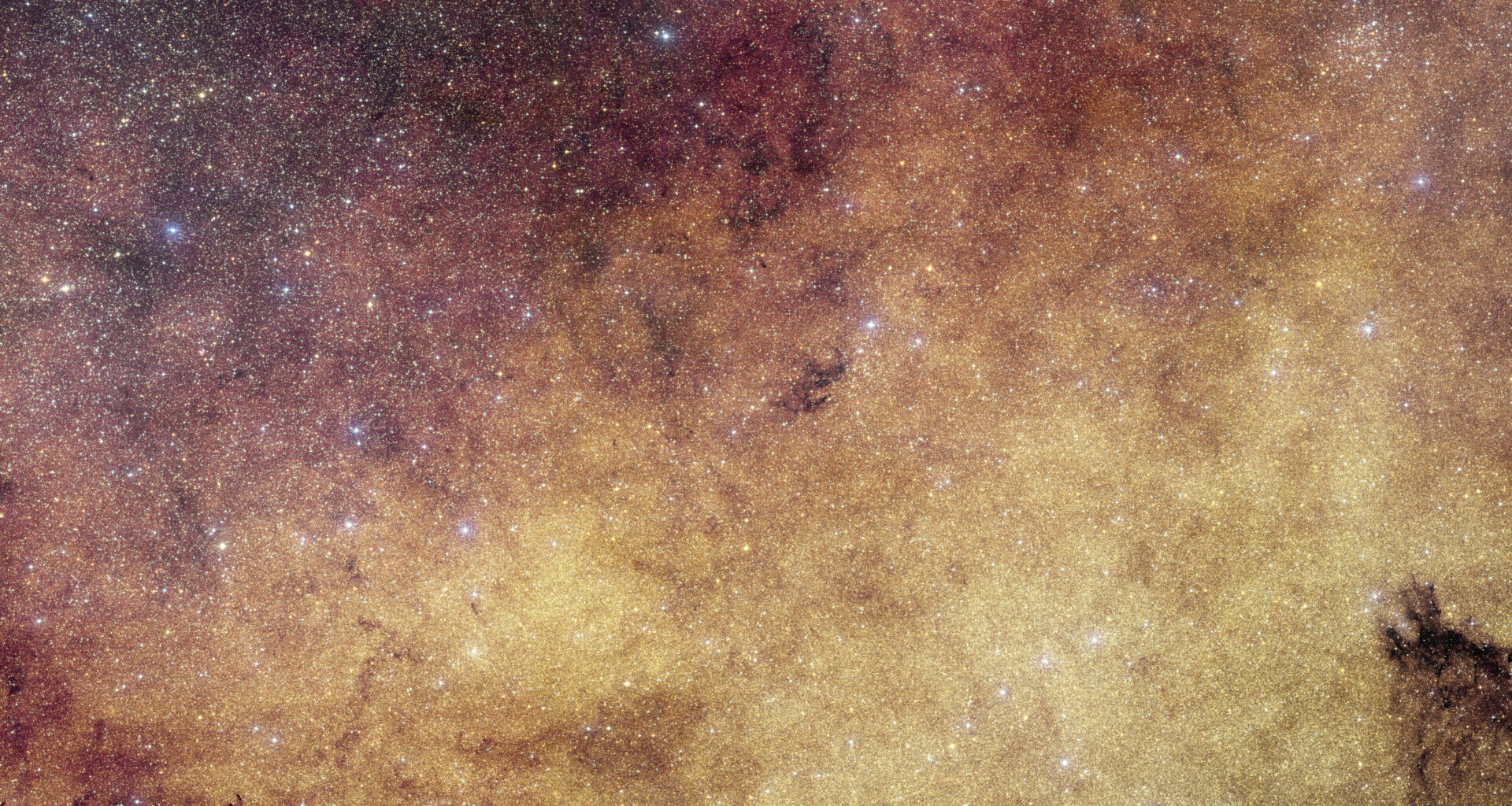 A Euclid image of the center of the galaxy