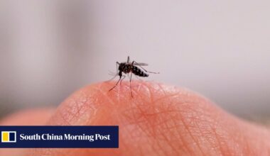 China’s AI-powered laser mosquito zapper goes viral after crowdfunding success