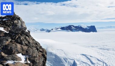 West Antarctic winter ice fails to form in Bellingshausen Sea in area 'size of France'