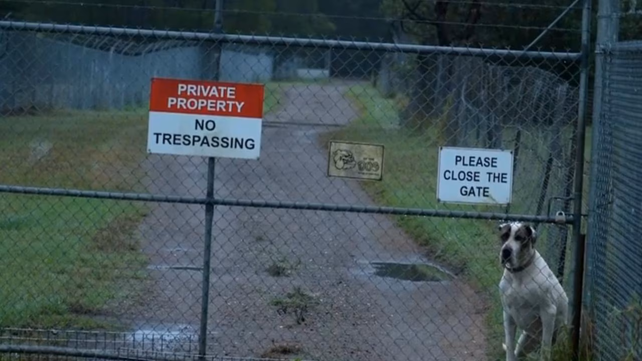 Secretive baboon colony hidden in major Aussie city sparks scrutiny over animal research