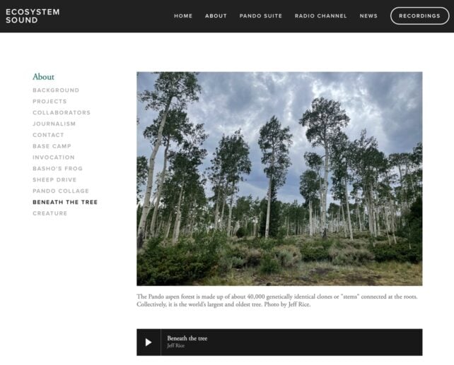 ecosystem sound website