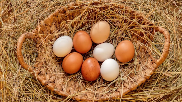 Free eggs a bonus in a cost-of-living crisis. 