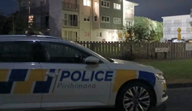 Man charged after allegedly obstructing firefighters at Lower Hutt blaze