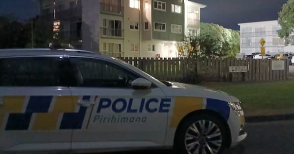 Man charged after allegedly obstructing firefighters at Lower Hutt blaze