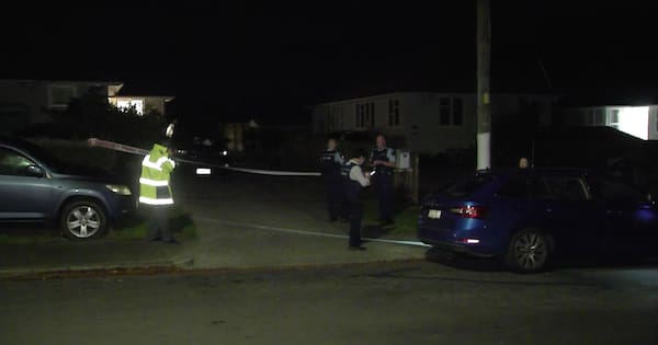 Man charged after Auckland assault leaves one critically injured